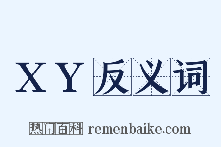XY反义词是什么意思的图片